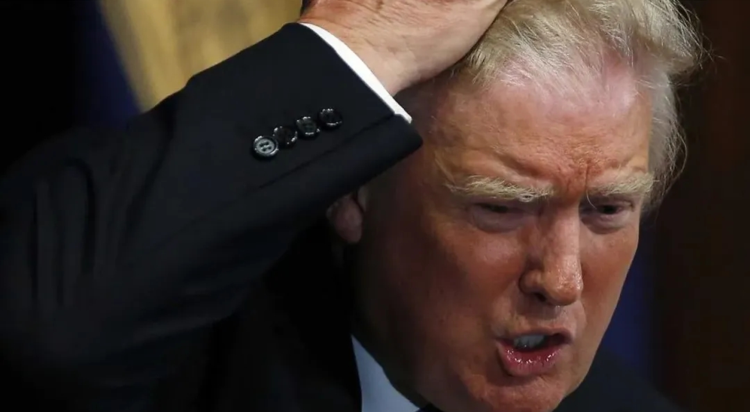 BREAKING: Trump Has Been Told to “Get the Hell Out of NATO” After He Issues a Terrible Order to Destroy… See More