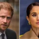 Did Prince Harry reject Meghan's $80 million demand to sign divorce papers, thereby confirming that there won't be a custody battle? Fact Check...