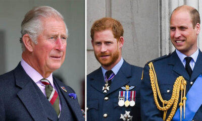 For the next King of England, Do you think prince Harry is capable and suitable for the task ahead of Him or prince William Could fill in the Vacuum?