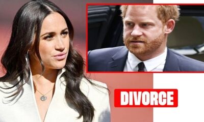 Fact Check: Did Meghan Markle File $80m Harry Divorce Papers? YES