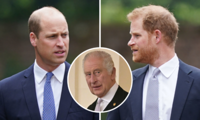 Royal Crisis: Controversy On Who could be Worthy and qualify to be the next King: Who will you rather chose as the next King. King Charles Questioned…Prince William or Prince Harry,who do you want as the new King?