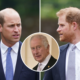 Royal Crisis: Controversy On Who could be Worthy and qualify to be the next King: Who will you rather chose as the next King. King Charles Questioned…Prince William or Prince Harry,who do you want as the new King?