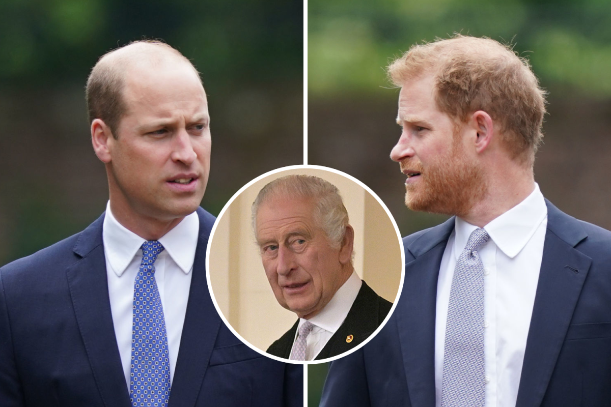 Royal Crisis: Controversy On Who could be Worthy and qualify to be the next King: Who will you rather chose as the next King. King Charles Questioned…Prince William or Prince Harry,who do you want as the new King?