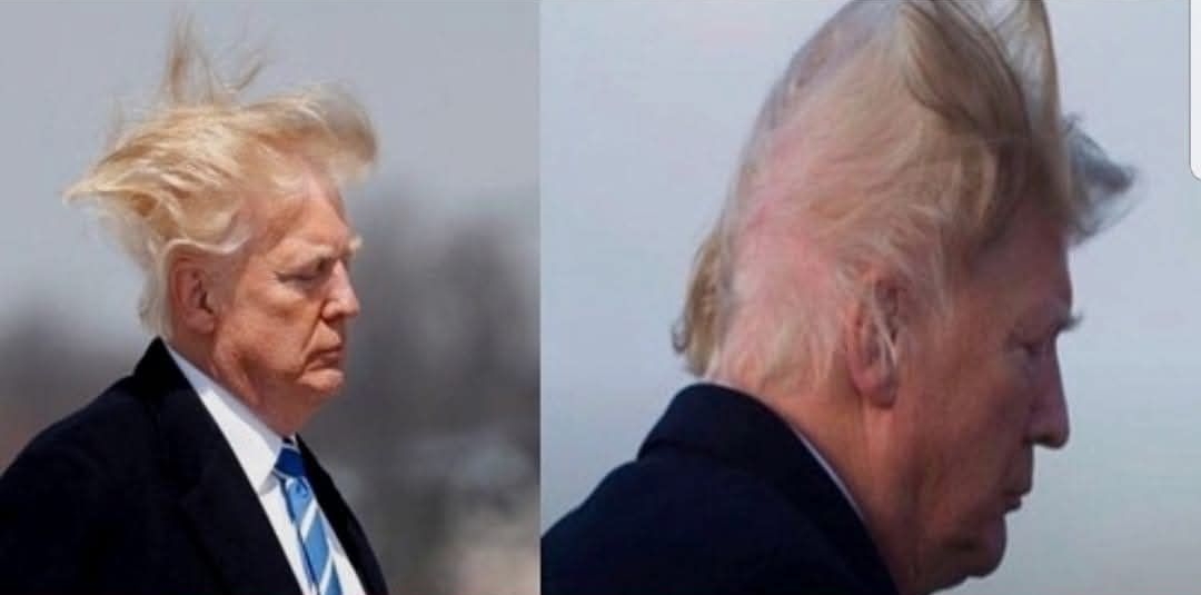 Trump hates these 5 beautiful photos so please don't share them. Thank you