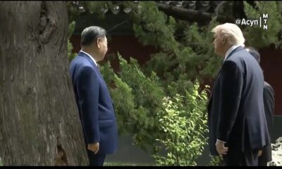 SHOCKING Moment in China: Xi Jinping Shows Trump a 300-Year-Old Tree — But the Hidden Message Left Everyone Stunned… What Trump Asked Next Through the Translator Has People Talking