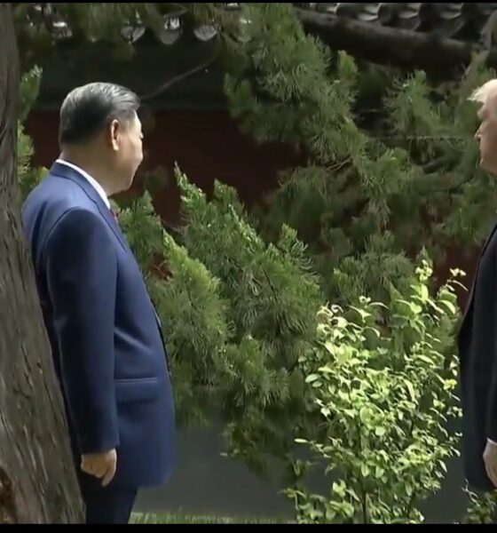 SHOCKING Moment in China: Xi Jinping Shows Trump a 300-Year-Old Tree — But the Hidden Message Left Everyone Stunned… What Trump Asked Next Through the Translator Has People Talking