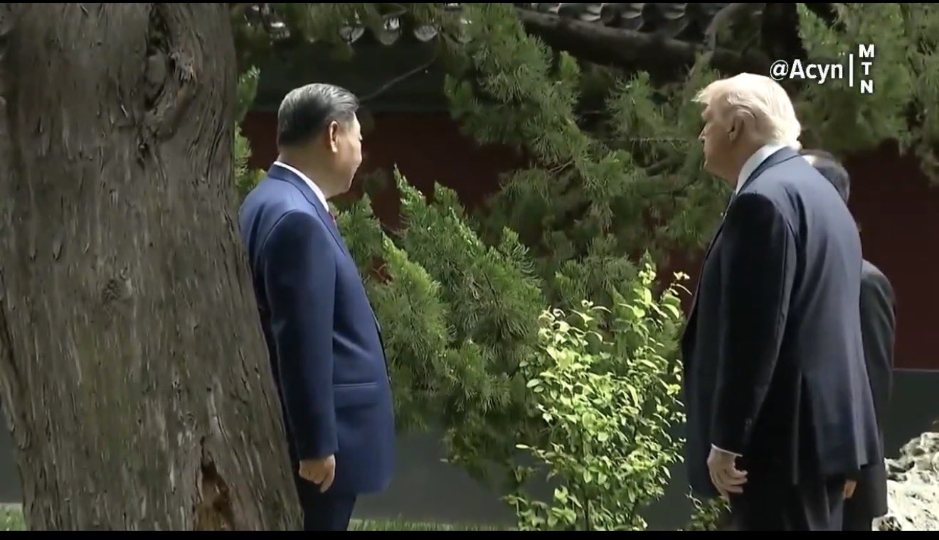 SHOCKING Moment in China: Xi Jinping Shows Trump a 300-Year-Old Tree — But the Hidden Message Left Everyone Stunned… What Trump Asked Next Through the Translator Has People Talking
